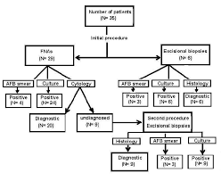 Diagnostic Flow Chart In The 35 Cases Of Tuberculous