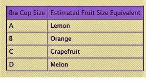 Bra Size Comparison To Fruit
