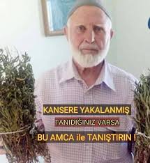 Levent ümit erol'un özel habaerine göre; Danaci Koyu Kansere Yakalanmis Tanidiginiz Varsa Bu Amca Ile Tanistirin Manisa Da Kendi Topladigi Otlarla Insanlara Sifa Dagitan Lutfu Acet Kanseri Tedavi Eden Bir Bitkinin Bulundugunu Belirterek Bu Bitkinin Kanseri 20