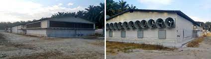 See star feedmills m sdn bhd's products and suppliers. Chicken Supplier Kuala Lumpur Kl Kl Supreme Processing Sdn Bhd Poultry Wholesaler Selangor Chicken Parts Supply Malaysia