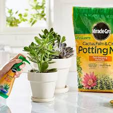Check spelling or type a new query. Yard Garden Outdoor Living Items Soil Soil Amendments Citrus Potting Soil Miracle Gro Cactus Palm