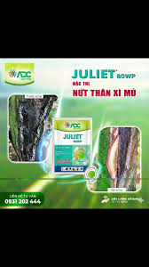 Juliet 80WP