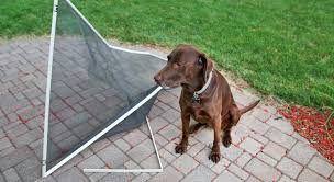 Your neighbors in mesa have used our. Window Screen Repair Replacement Los Angeles Tashman Home Center