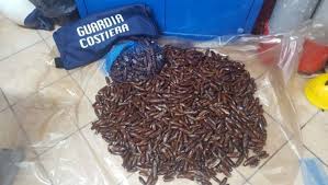 Related attualità pesca datteri di mare nel golfo di napoli, 12 arresti la frode veniva effettuata da due organizzazioni sgominate dalla guardia di finanza/video. Isbm4jrhiwnfbm