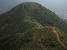 宅男腐女的爱好导航。 地址发布页： lanse.icu 最新地址： ldh. File å¤§åˆ€å±» Jpg Wikimedia Commons