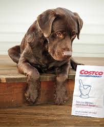 Whether preventative or therapeutic, pet meds are an integral part of pet ownership. Costco Rx Pet Medications
