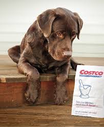 Maybe you would like to learn more about one of these? Costco Rx Pet Medications
