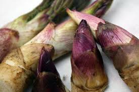 山ウドの芽はアクが少なくサラダでも食べられる山菜です 野菜ソムリエで検索 楽天ブログ