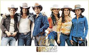 Pasión de gavilanes 2 trae de vuelta la historia de los hermanos reyes a partir de una de las producciones originales más icónicas de telemundo. Pasion De Gavilanes Wiki Fandom