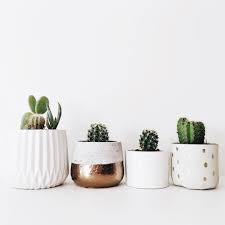 Office Collection Afabulousfete Retro Home Decor Apartment Plants Cactus Decor