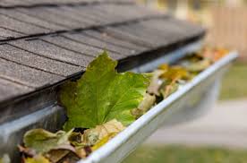 We also provide fall cleanup, spring cleanup, leaf removal and other general lawn services in toledo do your toledo gutters need relief? Gutter Cleaning Brighton Mi 248 313 8807 Leaf Police Llc