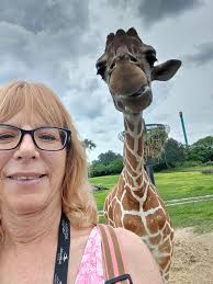 It's almost #WorldGiraffeDay, and we want to see all of your giraffe  selfies! Tag us in your stories and posts so we can repost and share. 🦒