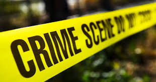DNA Testing for crime scene investigations - DNA Forensics