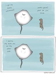 Pin By Emily Latson On Gag Funny Animal Comics Funny Comics Liz Climo Comics