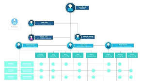 organisational chart template online templates 113000