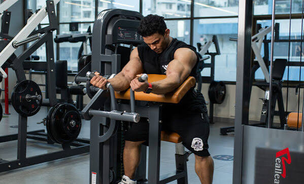 Seated Biceps Curl - M2 1010A - Into Wellness