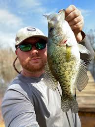 Revitalizing a dormant pond with fish additions