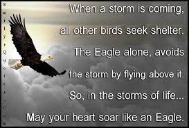 Quotes About Eagle Eye 21 Quotes