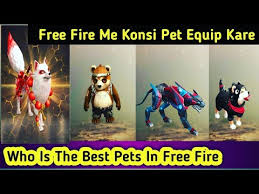 Grab weapons to do others in and supplies to bolster your chances of survival. Who Is The Best Pat In Free Fire Free Fire Me Best Pet Konsi He Free Fire All Pets Full Pro Tips Youtube
