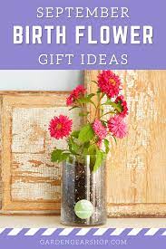 September Birth Month Flower Gift Ideas Grow Kit Birth Month Flowers September Birth Flower Birth Flowers