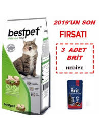 bestpet tavuk etli ve pirincli yetiskin kedi mamasi 15 kg kedi tavuk