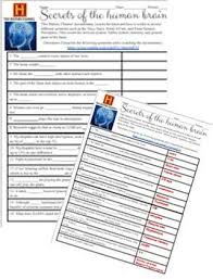 Psychology Secrets Of The Human Brain Documentary Questions W Key Human Brain This Or That Questions Psychology