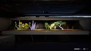 Maybe you would like to learn more about one of these? All Terrarium Seed Locations In Star Wars Jedi Fallen Order Star Wars Jedi Fallen Order Wiki Guide Ign