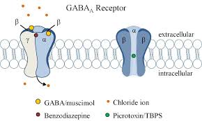 Image result for Pyrethroid