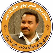 ھو پڇن ٿا، ڪيئن ٿي گذري پئي بور ڪندڙ ڪيترو آھي سوال ادل سومرو تصويري سلسلو 