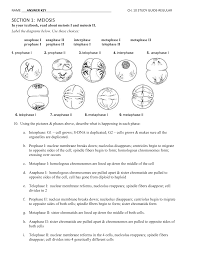 Dihybrid cross worksheet in rabbits, gray hair is dominant. Worksheet On Dihybrid Crosses With The Punt Square Printable Worksheets And Activities For Teachers Parents Tutors And Homeschool Families