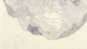 See, that's what the app is perfect for. Sara Skorgan Teigen Regeneration3 Youtube