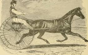 Image from page 67 of "The horse in the ...