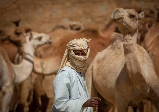 Keren market, Eritrea 🇪🇷