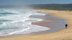 Bildergebnis für Shelly Rusten