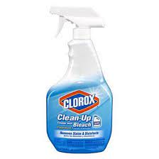 Clorox Clean Up All Purpose Cleaner With Bleach Spray Bottle Fresh Scent 32oz In 2021 Cleaning With Bleach Favorite Cleaning Products Cleaning