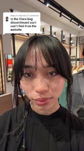 Did Cosch Discontinue The Brown Shoulder Bag