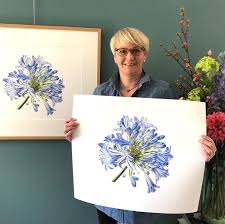 Agapanthus Is Now Online Available In My Webshop As Limited Edition Certified Art Giclee The Certified Art Giclee Botanical Art Flower Art Giclee Art Print