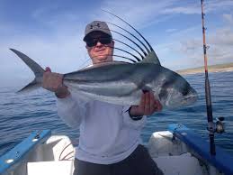 Best Time To Fish In Cabo San Lucas Mexico Cabo Fishing
