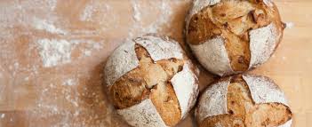 Le Pain Quotidien France Linkedin