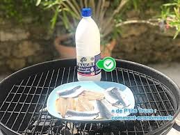 Enfin Une Astuce Pour Que Le Poisson Ne Colle Plus Sur Le Barbecue Barbecue Barbecue Electrique Poisson