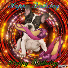 You may change the inside text to reflect your own words, if you wish. Happy Birthday Picmix