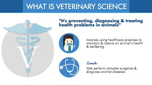 Veterinary science is a branch of medicine that deals with the health and wellness of animals and birds. Veterinary Science Course In Malaysia Eduadvisor