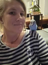 Missing budgie mount view road Cessnock she iis tame comes to her name Lilac