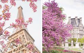 Check spelling or type a new query. Paris And Flowers Another Gorgeous Coffee Table Book The Flower Press Blog