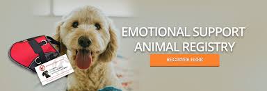 The ada defines service animals as dogs that are individually trained to do work or perform tasks for people with. Emotional Support Dog Certification And Registration