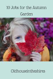 10 Jobs For The Autumn Garden Highly Sensitive Child Sensitive Children Autumn Activities