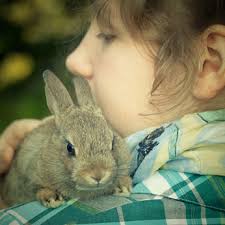 We visit schools, nurcing homes, nurseries, parites, fairs and corporate events. Petting Zoo Birthday Party Mobile Petting Zoo
