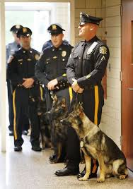 Five Police Dogs Recently Graduated From The Union County Sheriff S Office K 9 Training Academy In New Jersey The K 9 Unit Has Grown Military Dogs Police Dogs