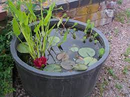 Mini Pond Starter Pack Merebrook Pond Plants