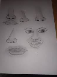 Hey Everyone, This is my first post in this group..... How's this drawing